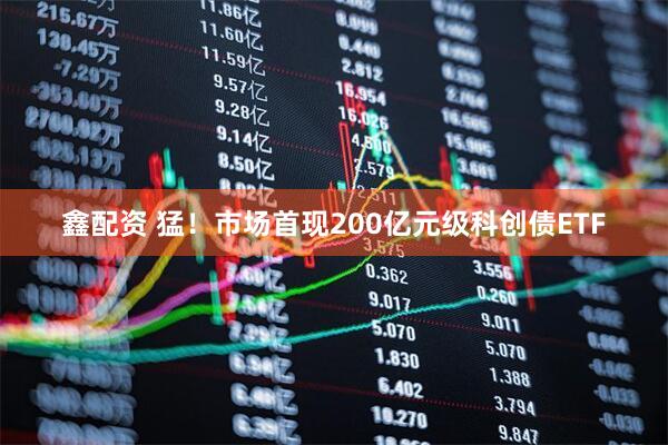 鑫配资 猛！市场首现200亿元级科创债ETF